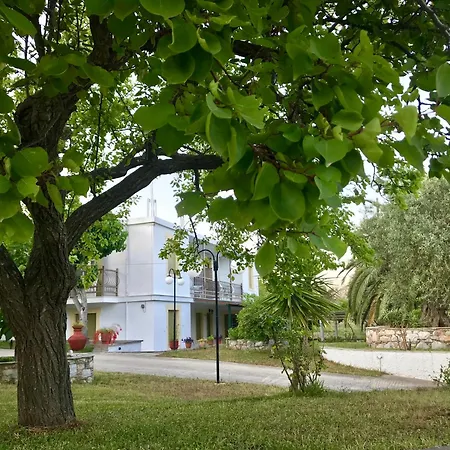 Pansion Episkopi Σκόπελος