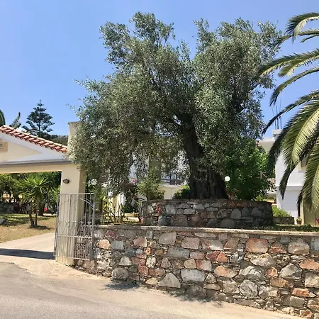 Pensiune Pansion Episkopi Skopelos