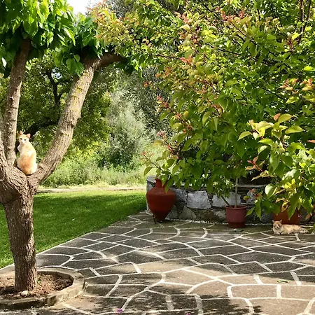 Pansion Episkopi 2* Skopelos