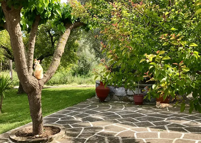 Pansion Episkopi 2* Skopelos Town